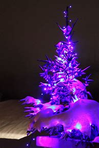 Image result for Purple Xmas Tree