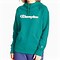 Image result for Blue Champion Hoodie