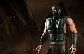 Image result for Sub-Zero Video Game