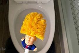 Image result for Trump Toilet Float