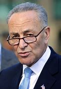 Image result for Letter to Charles Schumer