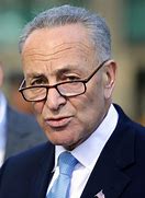 Image result for Charles Schumer Party