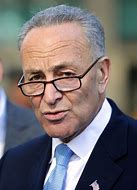Image result for Charles Schumer Politician