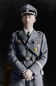 Image result for Heinrich Himmler Uniform Awards