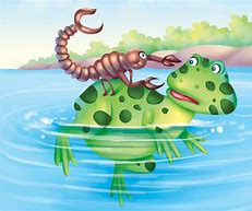 Image result for Scorpion Frog