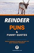 Image result for Reindeer Jokes One-Liners