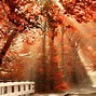 Image result for 1920X1080 Fall Wallpaper for PC