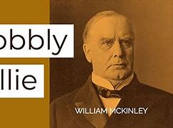 Image result for William McKinley