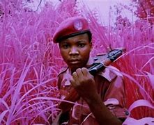 Image result for Congo Civil War