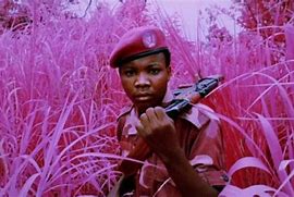 Image result for War in Congo Today Pic