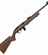 Image result for 22 Long Rifle Semi-Automatic