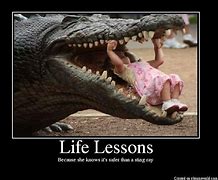 Image result for Famous Quotes About Life Lessons Funny