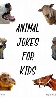 Image result for Animal Jokes for Kids