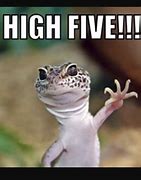 Image result for Cute Funny Lizard Memes