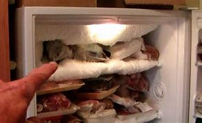 Image result for Causes of Frost Build-Up in Frost Free Freezer