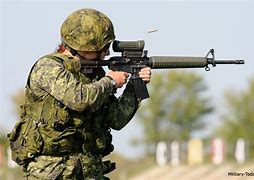 Image result for Canadian C7 Rifle