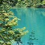 Image result for Plitvice Lakes Incident