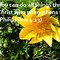 Image result for Bible Quotes About Faith
