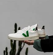 Image result for Veja V1.0 Sneakers Women
