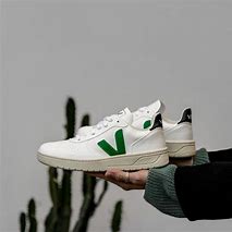 Image result for Veja Sneakers V1.0 Suede Heren