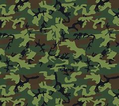 Image result for Dark Camo Hoodie
