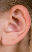 Image result for Healthy Ear