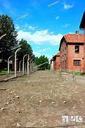 Image result for Auschwitz Concentration Camp Gas Chambers