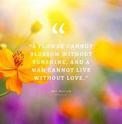 Image result for Cute Flower Quotes Instagram