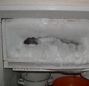 Image result for Frostless Upright Freezer