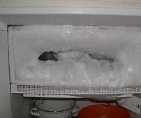 Image result for Frost/Freeze Freezer