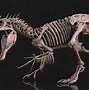 Image result for Indominus Rex Fossil