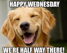Image result for Funny Stuff About Wednesday