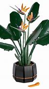 Image result for LEGO Bird Of Paradise 10289 Building Kit