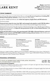 Image result for Professional Resume