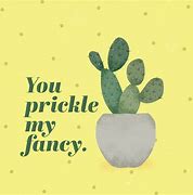 Image result for Funny Cactus Jokes