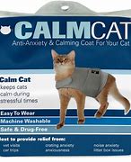 Image result for Anxiety Cat
