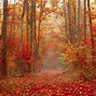 Image result for Colorful Forest Desktop