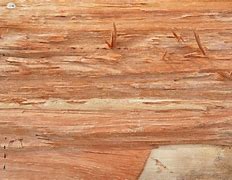 Image result for Wooden Slab Background
