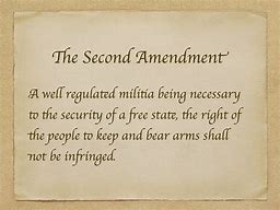 Image result for Gun Control 2nd Amendment