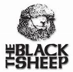 Image result for Black Sheep Farley Security Concert