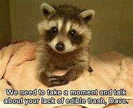 Image result for Funny Animals Saying Funny Things
