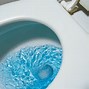 Image result for Unblocking Toilets