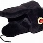 Image result for Russian Guard Hat
