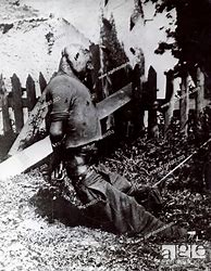 Image result for WWII German Atrocities