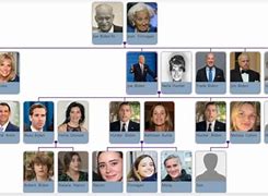 Image result for Biden's Family Tree