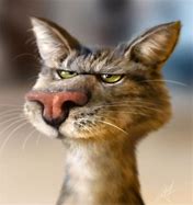 Image result for Cartoon Cat Real