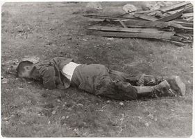 Image result for Soldier Corpse