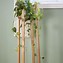 Image result for Tall Outside Plant Stands