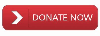 Image result for donate icon