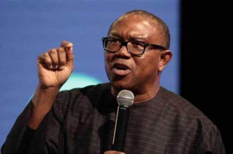 Peter Obi calls for calm after being spotted at Asaba Airport on Tuesday after Saturday?s presidential election (video)
